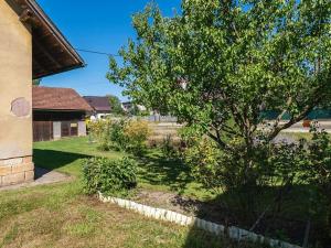 Prodej zemědělské usedlosti, Dřevěnice, 147 m2