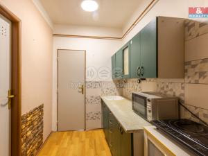 Prodej bytu 1+kk, Louny, U Spravedlnosti, 32 m2