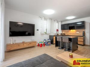 Prodej rodinného domu, Hrušovany nad Jevišovkou, 95 m2