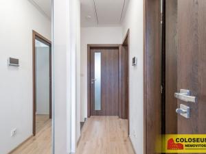 Prodej rodinného domu, Hrušovany nad Jevišovkou, 95 m2