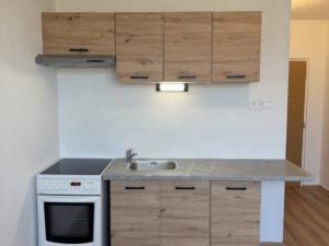 Prodej bytu 1+1, Chomutov, Skalková, 36 m2