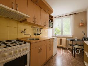 Prodej bytu 3+1, Ústí nad Labem - Střekov, Tolstého, 65 m2