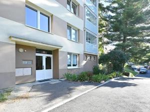 Pronájem bytu 1+1, Litvínov, Tylova, 35 m2