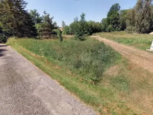 Dražba pozemku pro bydlení, Jindřichovice pod Smrkem, 187 m2