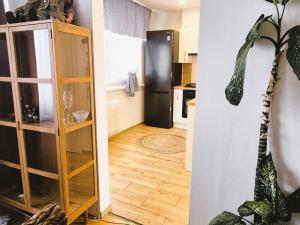 Pronájem bytu 3+1, Šumperk, Evaldova, 71 m2