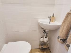 Pronájem bytu 3+1, Šumperk, Evaldova, 71 m2