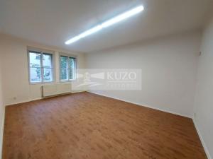 Pronájem bytu 5+1, Praha, Na Březince, 150 m2