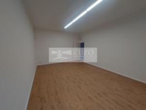 Pronájem bytu 5+1, Praha, Na Březince, 150 m2