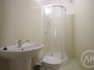 Pronájem bytu 1+kk, Ostrava - Moravská Ostrava, Jílová, 44 m2
