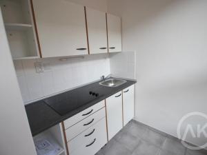 Pronájem bytu 1+kk, Ostrava - Moravská Ostrava, Jílová, 44 m2