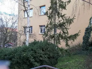 Pronájem bytu 3+kk, Praha - Břevnov, Bělohorská, 57 m2