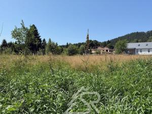 Prodej pozemku, Srní, 1470 m2