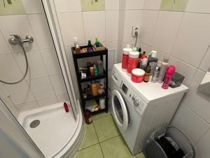 Pronájem bytu 2+1, Praha - Vinohrady, Chodská, 85 m2