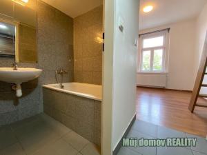 Pronájem bytu 1+kk, Praha - Vysočany, Freyova, 18 m2