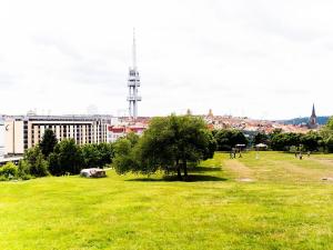 Prodej bytu 2+1, Praha - Žižkov, Biskupcova, 72 m2