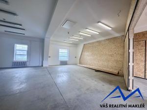 Pronájem výrobních prostor, Ostrava, Výhledy, 240 m2