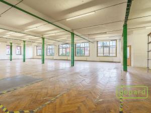 Prodej skladu, Aš, Tyršova, 4500 m2