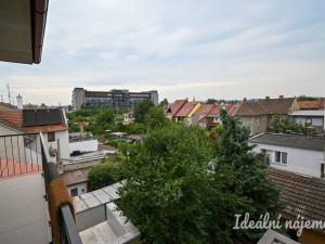 Pronájem bytu 1+1, Brno, Kosmákova, 29 m2