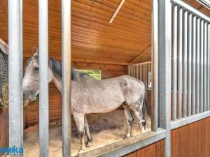 Pronájem zemědělské usedlosti, Sulice, 300 m2