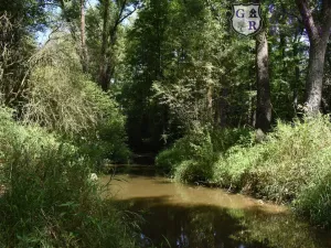 Prodej rybníku, Božetice, 11677 m2