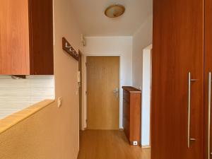 Pronájem bytu 1+1, Brno - Komín, Absolonova, 35 m2