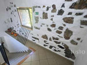 Prodej vícegeneračního domu, Písek - Vnitřní Město, V Koutě, 786 m2
