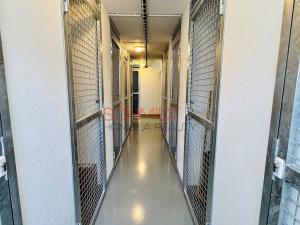 Pronájem bytu 1+kk, Hustopeče, Husova, 37 m2