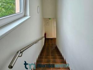 Pronájem bytu 1+kk, Brno - Žabovřesky, Horova, 52 m2