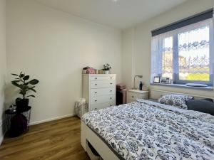 Pronájem bytu 2+kk, Šumperk, Gen. Krátkého, 40 m2