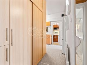 Prodej bytu 3+kk, Praha - Libeň, Heydukova, 98 m2