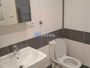 Pronájem bytu 1+1, Praha - Žižkov, Cimburkova, 38 m2