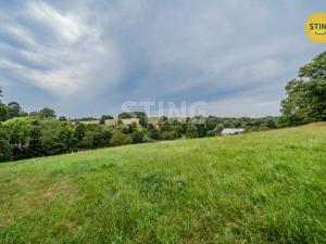 Prodej vícegeneračního domu, Potštát - Kovářov, 190 m2