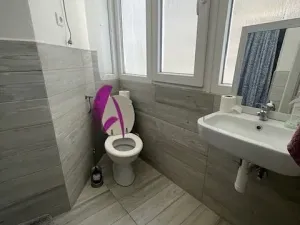 Pronájem bytu 1+kk, Olomouc, Palackého, 22 m2