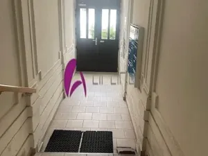 Pronájem bytu 1+kk, Olomouc, Palackého, 22 m2