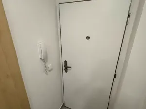 Prodej bytu 3+1, Praha - Žižkov, Hartigova, 70 m2