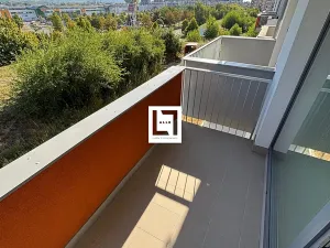 Pronájem bytu 2+kk, Olomouc, Aloise Rašína, 66 m2
