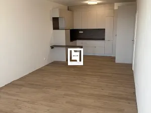 Pronájem bytu 2+kk, Olomouc, Aloise Rašína, 66 m2