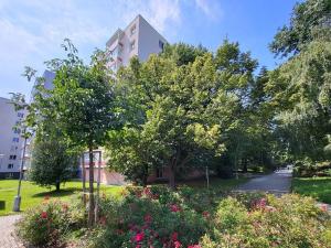 Prodej bytu 3+1, Brno, Sevastopolská, 70 m2