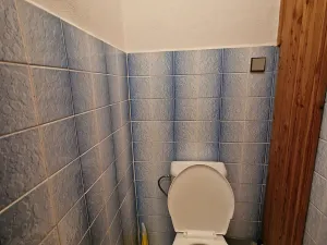 Prodej rodinného domu, Brloh, 162 m2