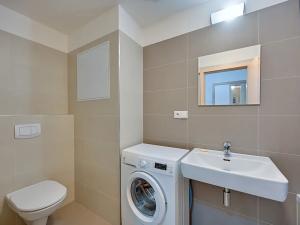 Pronájem bytu 1+kk, Olomouc, Rokycanova, 32 m2