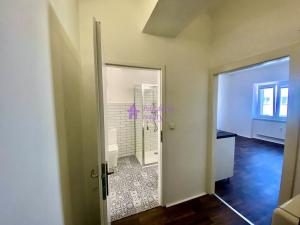 Pronájem bytu 1+kk, Olomouc - Hodolany, Zeyerova, 25 m2