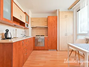 Pronájem bytu 1+1, Brno, Horácké náměstí, 45 m2