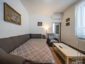 Prodej vícegeneračního domu, Hodonín, Komenského, 242 m2