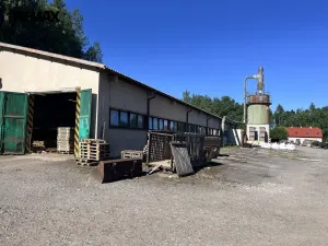 Pronájem výrobních prostor, Olešná, 1100 m2