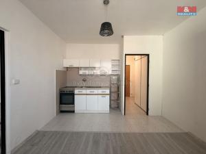 Pronájem bytu 1+1, Děčín - Děčín IV-Podmokly, Na Valech, 43 m2