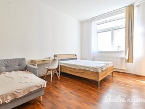 Pronájem bytu 1+1, Brno, Francouzská, 48 m2