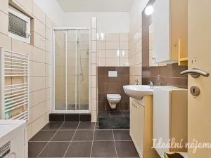 Pronájem bytu 1+1, Brno, Francouzská, 48 m2