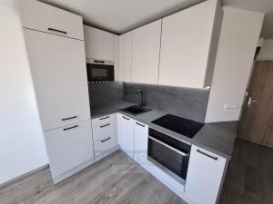 Pronájem bytu 2+kk, Český Krumlov - Latrán, Špičák, 42 m2