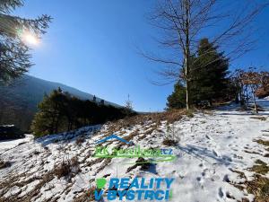Prodej pozemku pro bydlení, Loučná nad Desnou, 1085 m2