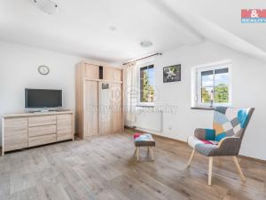 Prodej bytu 1+kk, Mladé Buky, 25 m2